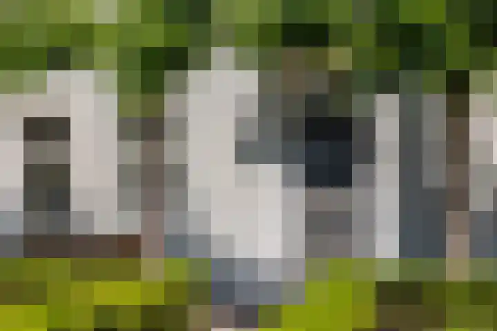 Ulvenhoutselaan 147 Breda thumbnail 7