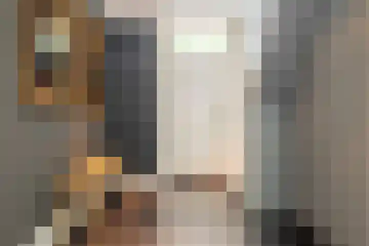 Ulvenhoutselaan 147 Breda thumbnail 8