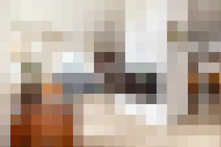 Ulvenhoutselaan 17 C9 Breda thumbnail 10
