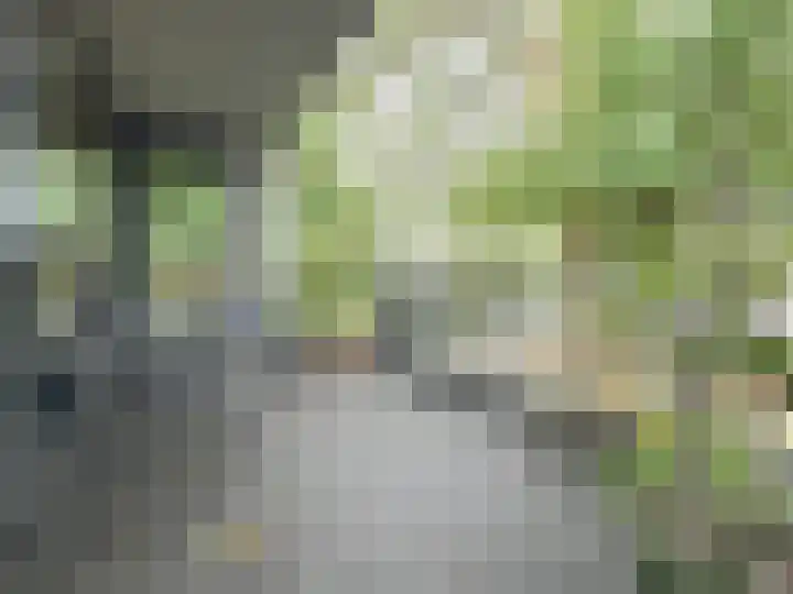 Ulvenhoutselaan 17 C9 Breda thumbnail 11