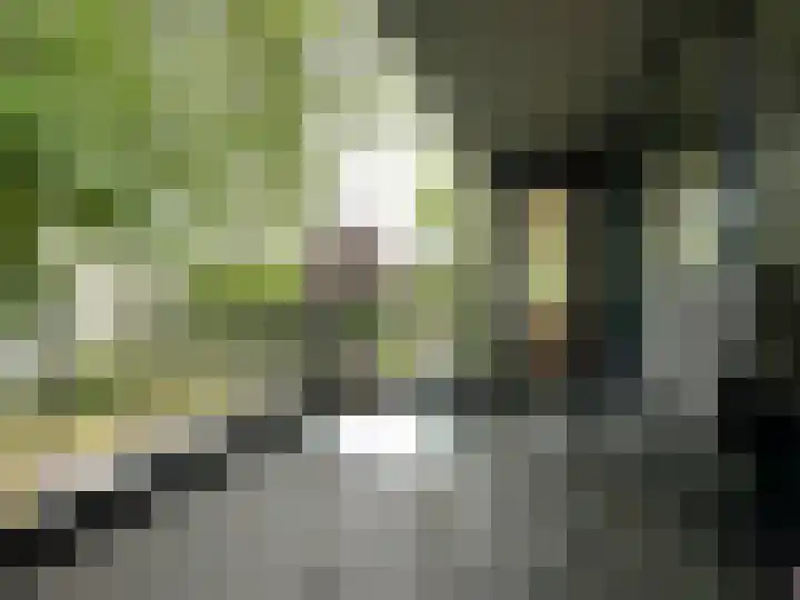 Ulvenhoutselaan 17 C9 Breda thumbnail 12