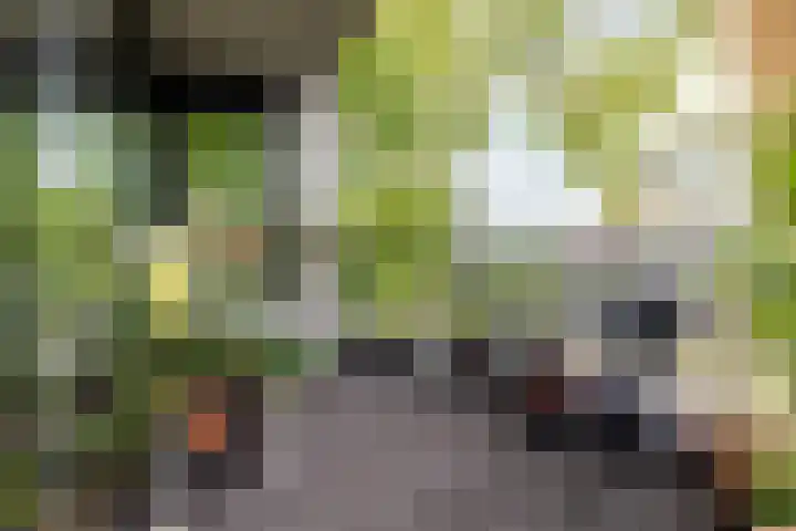 Ulvenhoutselaan 17 C9 Breda thumbnail 13