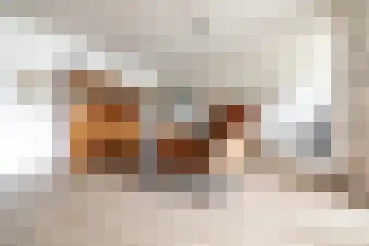 Ulvenhoutselaan 17 C9 Breda thumbnail 15