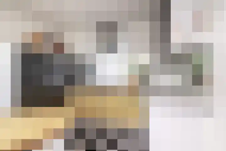 Ulvenhoutselaan 17 C9 Breda thumbnail 16