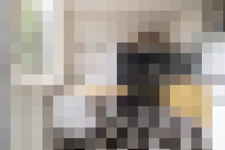 Ulvenhoutselaan 17 C9 Breda thumbnail 17