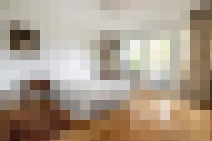 Ulvenhoutselaan 17 C9 Breda thumbnail 19
