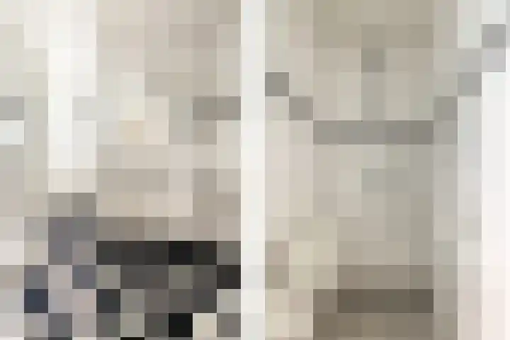 Ulvenhoutselaan 17 C9 Breda thumbnail 21