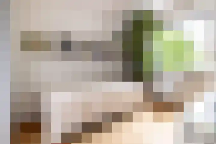 Ulvenhoutselaan 17 C9 Breda thumbnail 22