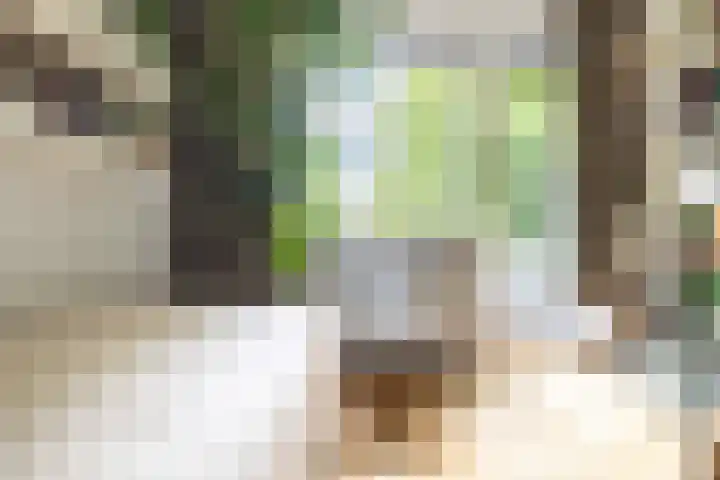Ulvenhoutselaan 17 C9 Breda thumbnail 23