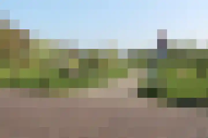Ulvenhoutselaan 17 C9 Breda thumbnail 27
