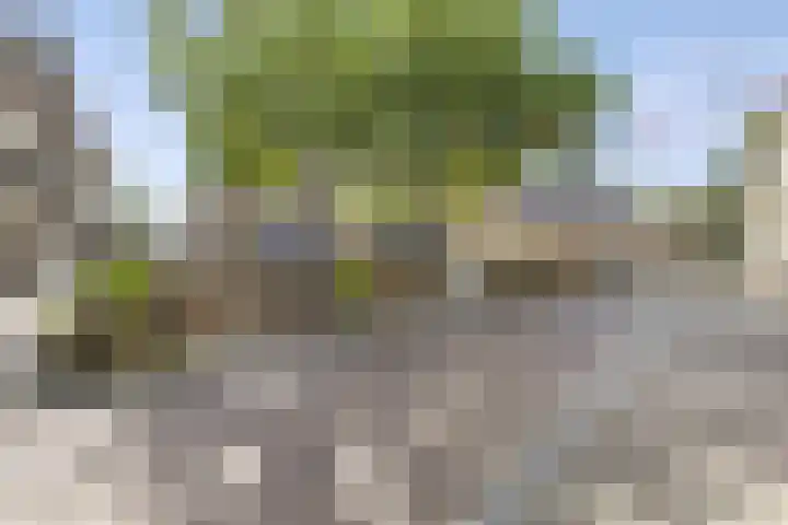 Ulvenhoutselaan 17 C9 Breda thumbnail 28