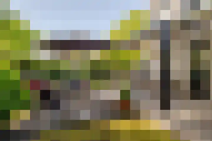 Ulvenhoutselaan 59 F Breda thumbnail 24