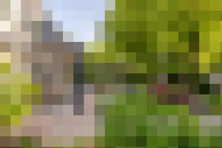Ulvenhoutselaan 59 F Breda thumbnail 25