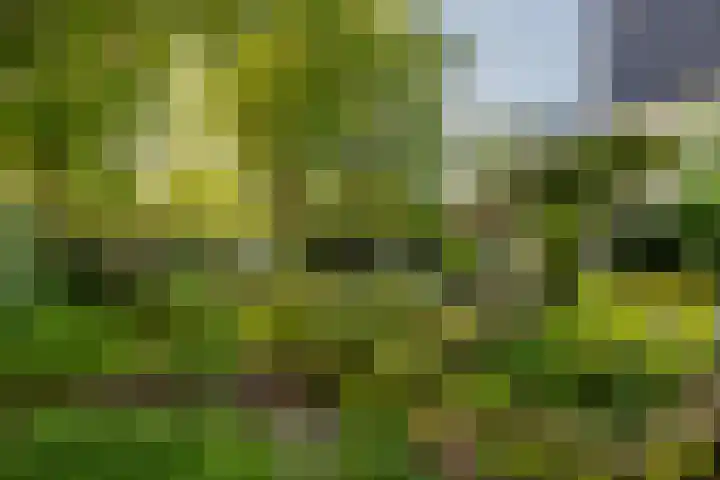 Ulvenhoutselaan 59 F Breda thumbnail 26
