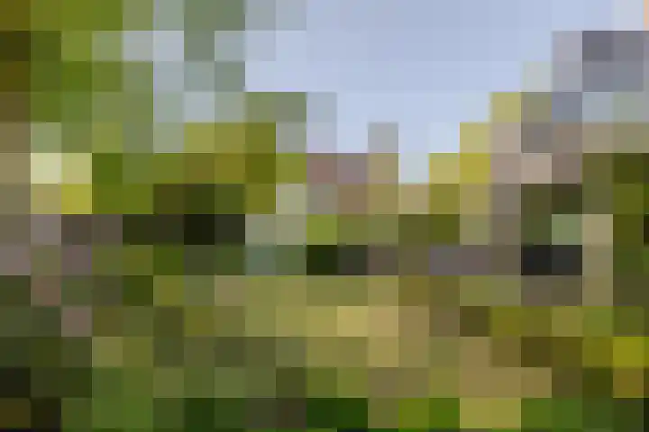 Ulvenhoutselaan 59 F Breda thumbnail 27