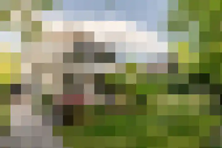 Ulvenhoutselaan 59 F Breda thumbnail 28