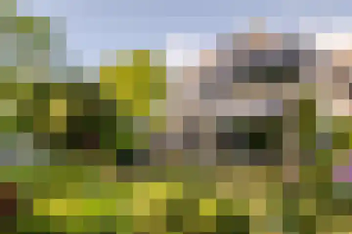 Ulvenhoutselaan 59 F Breda thumbnail 29