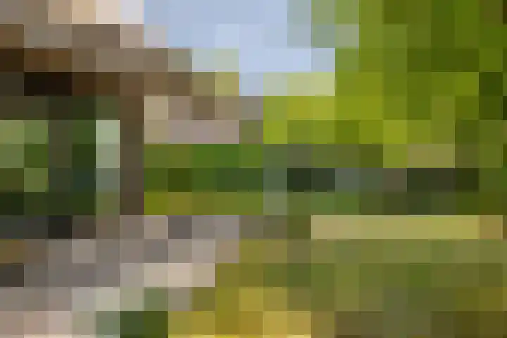 Ulvenhoutselaan 59 F Breda thumbnail 30
