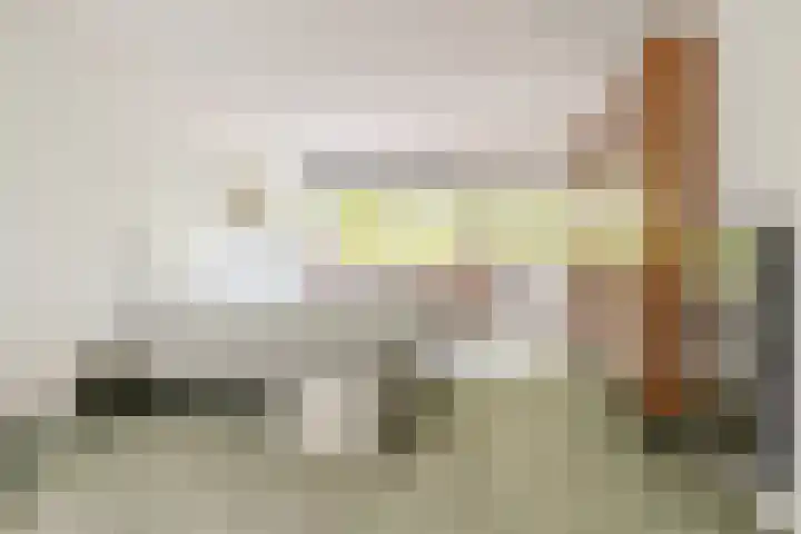 Ulvenhoutselaan 59 F Breda thumbnail 38