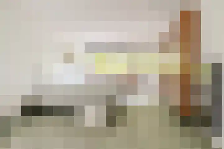 Ulvenhoutselaan 59 F Breda thumbnail 4