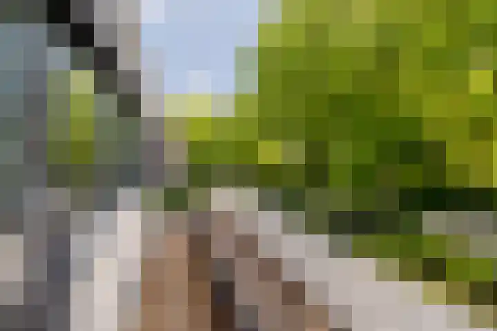 Ulvenhoutselaan 59 F Breda thumbnail 40