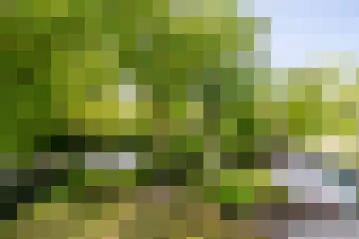 Ulvenhoutselaan 59 F Breda thumbnail 41