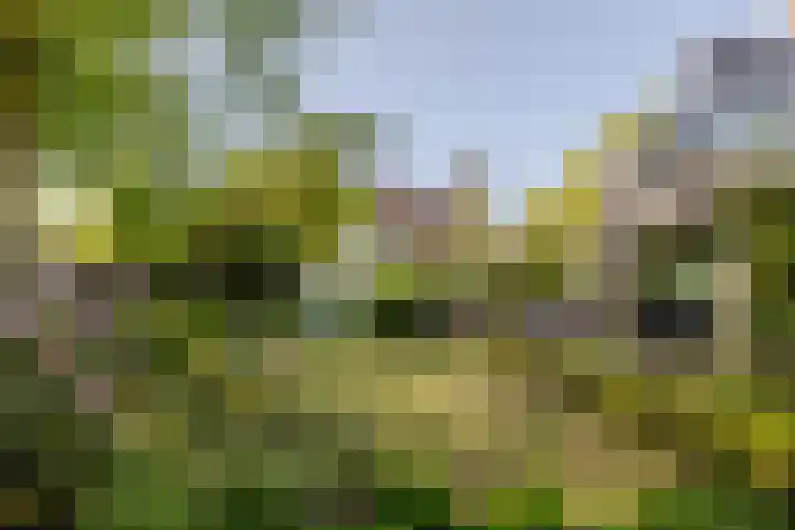 Ulvenhoutselaan 59 F Breda thumbnail 5