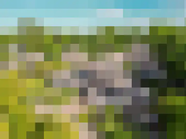 Ulvenhoutselaan 59 F Breda thumbnail 51