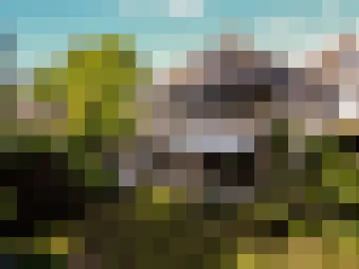 Ulvenhoutselaan 59 F Breda thumbnail 52