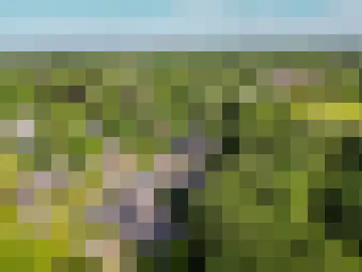 Ulvenhoutselaan 59 F Breda thumbnail 55