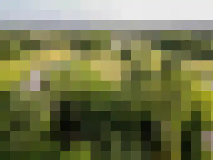 Ulvenhoutselaan 59 F Breda thumbnail 56