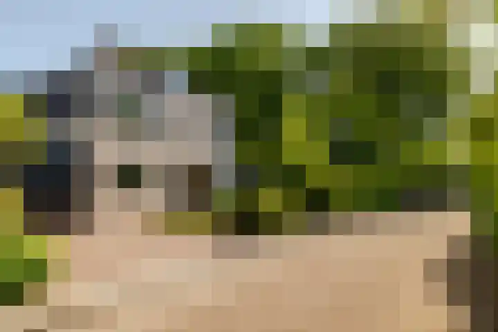 Ulvenhoutselaan 59 F Breda thumbnail 7