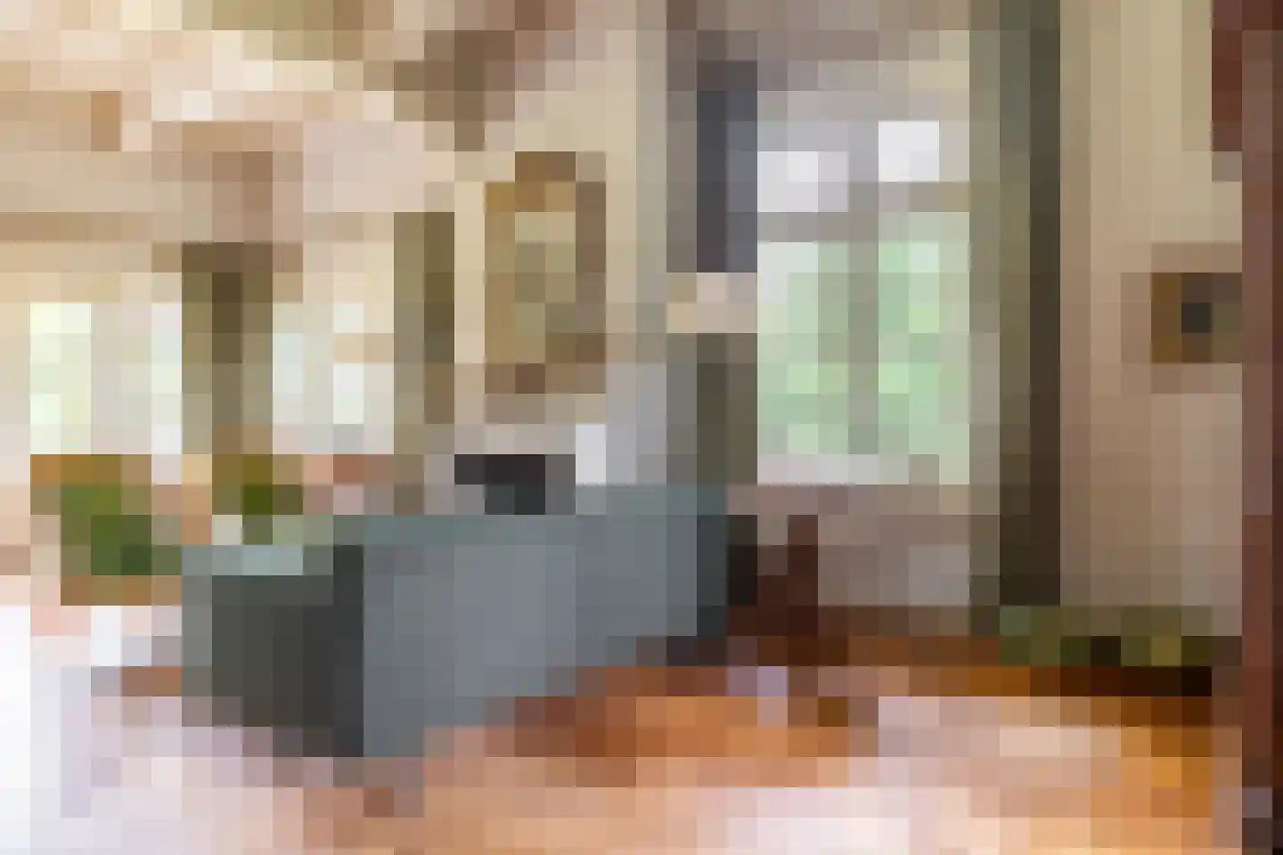Ulvenhoutselaan 67 Breda thumbnail 14