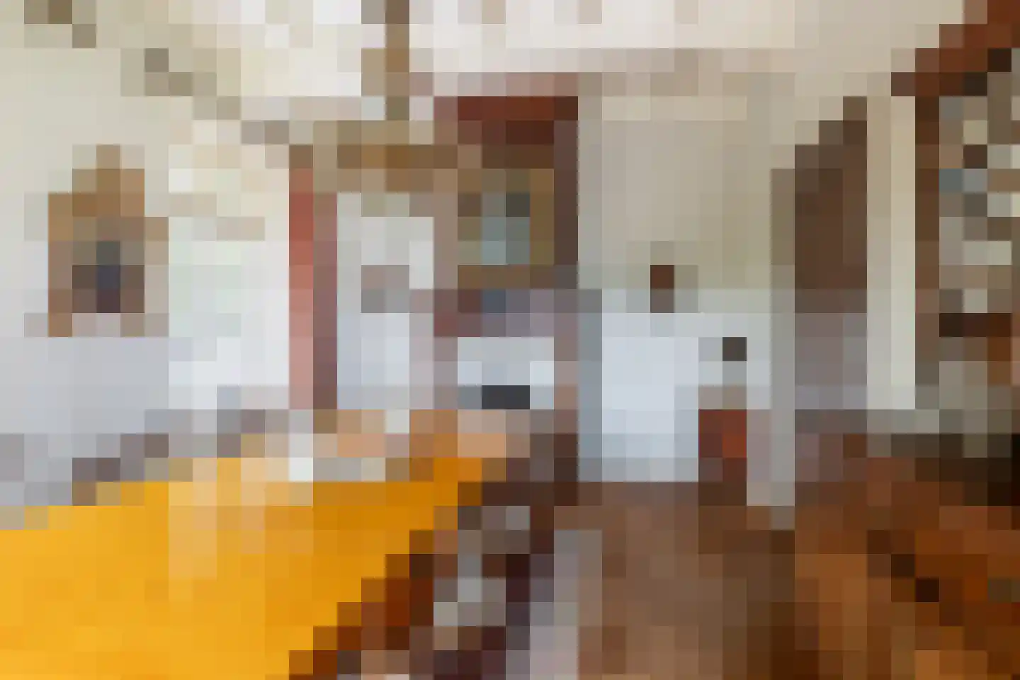 Ulvenhoutselaan 67 Breda thumbnail 24