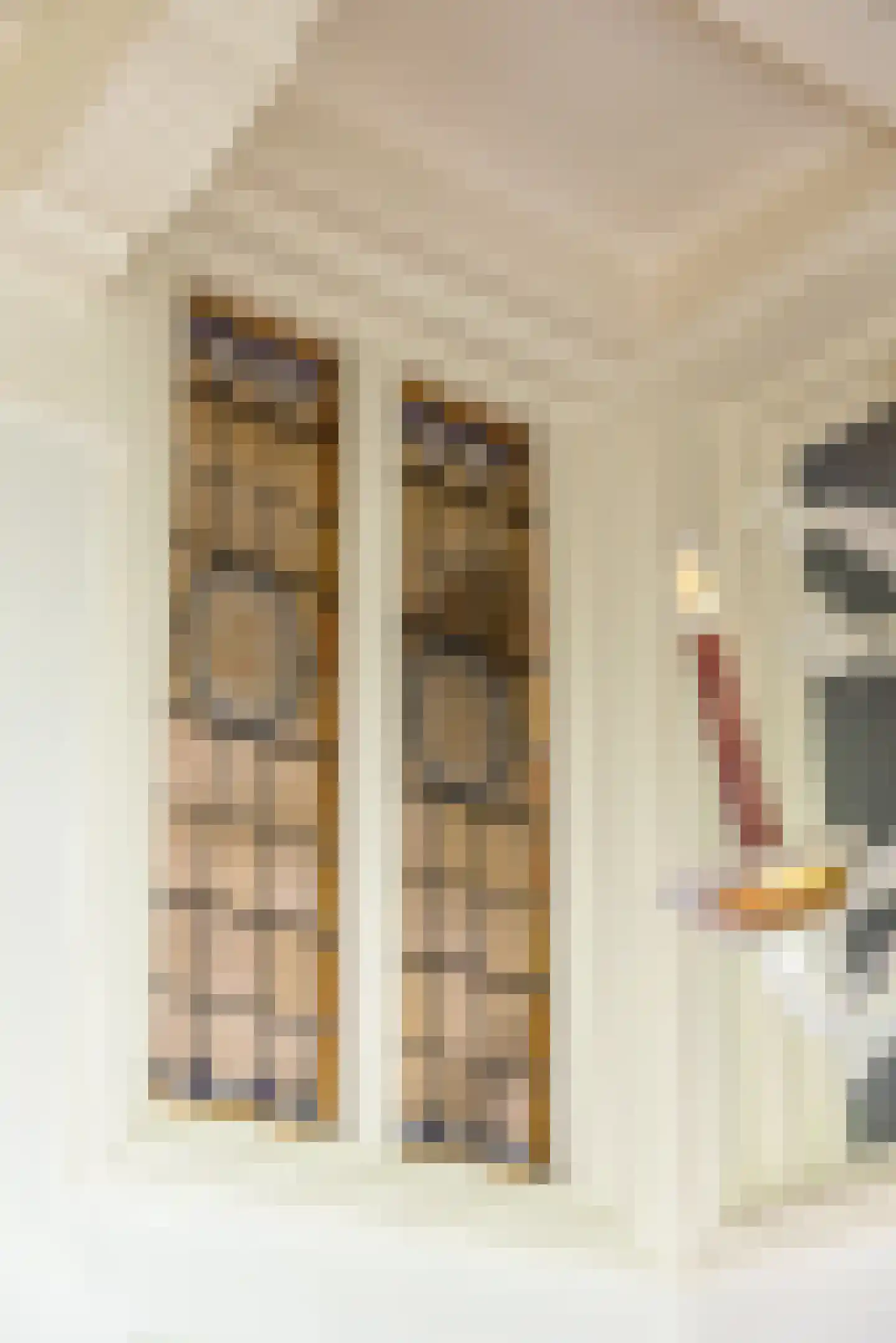 Ulvenhoutselaan 67 Breda thumbnail 34