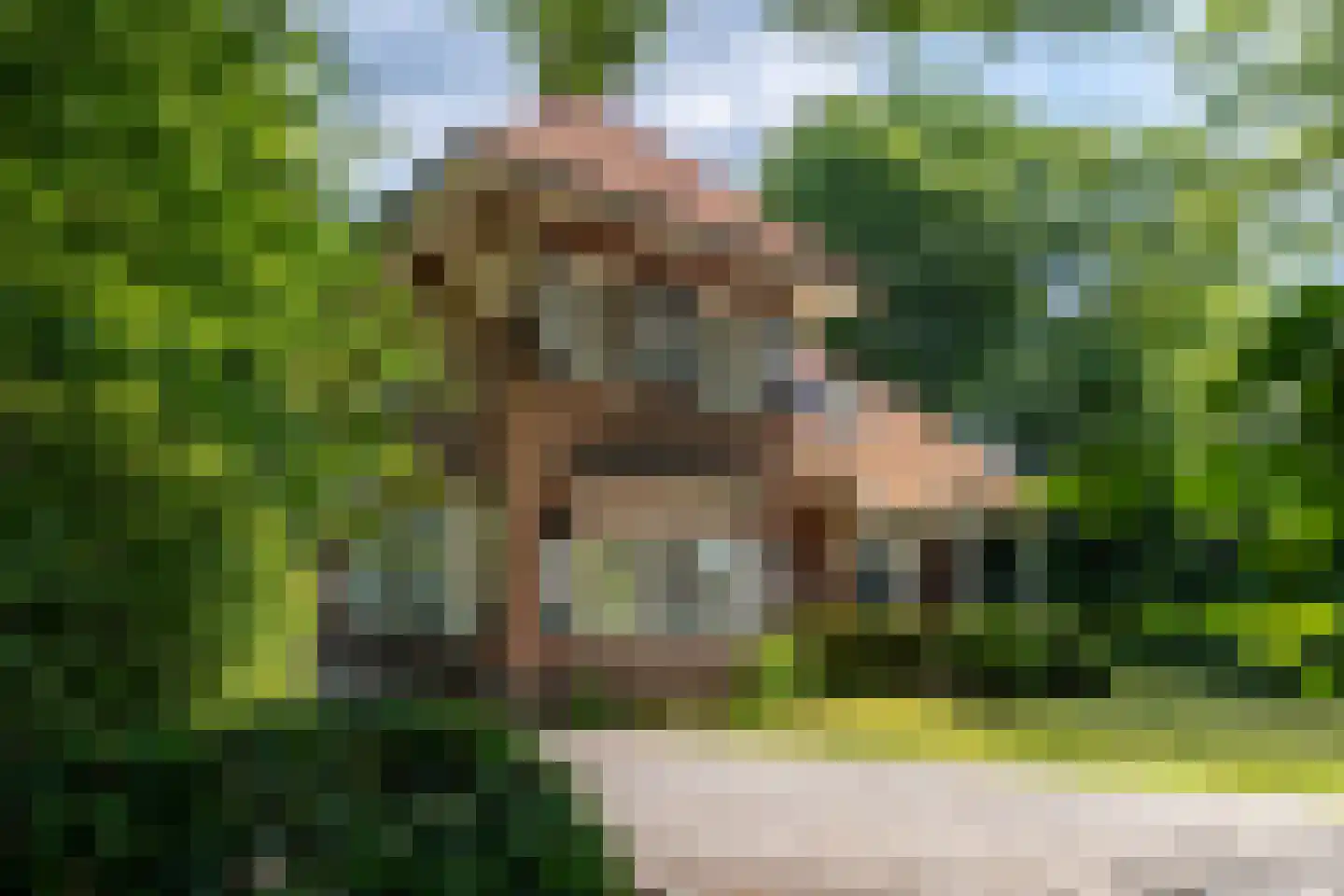 Ulvenhoutselaan 67 Breda thumbnail 4