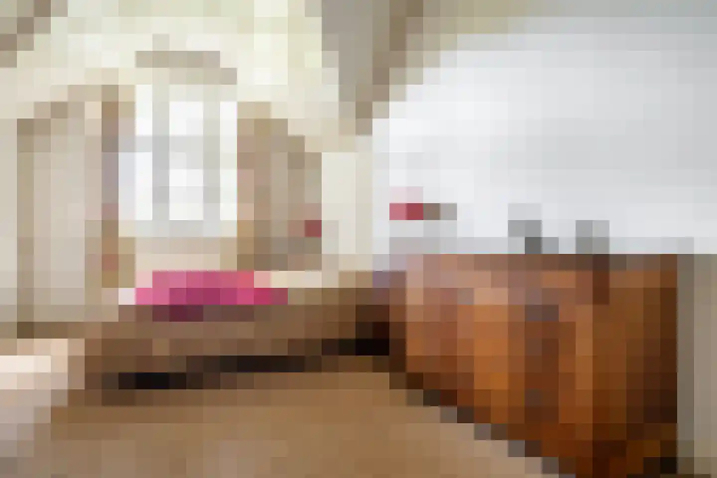 Ulvenhoutselaan 67 Breda thumbnail 41