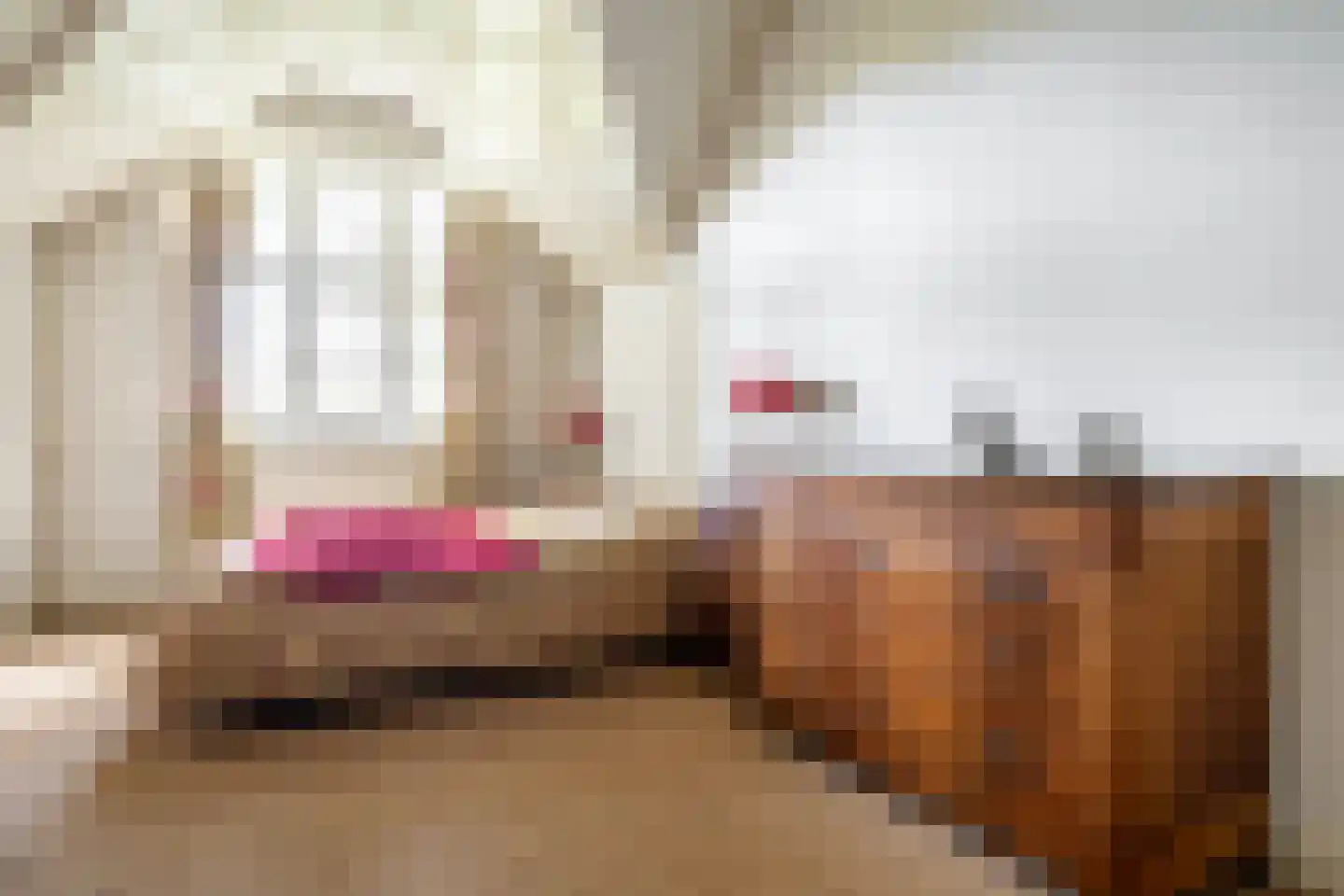 Ulvenhoutselaan 67 Breda thumbnail 41