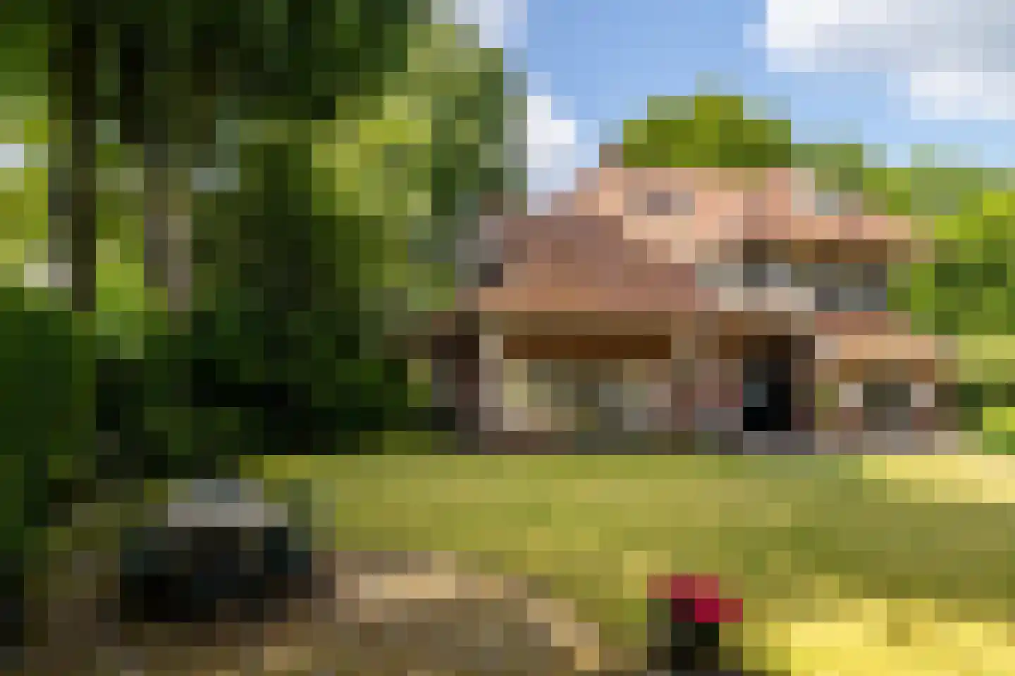 Ulvenhoutselaan 67 Breda thumbnail 51