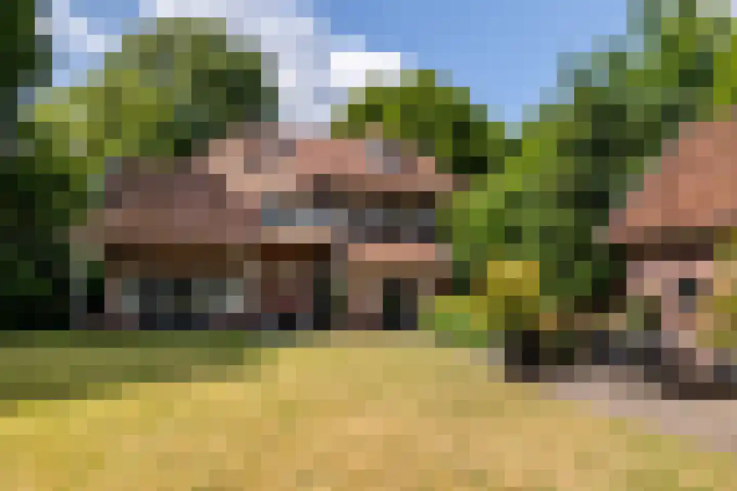 Ulvenhoutselaan 67 Breda thumbnail 52