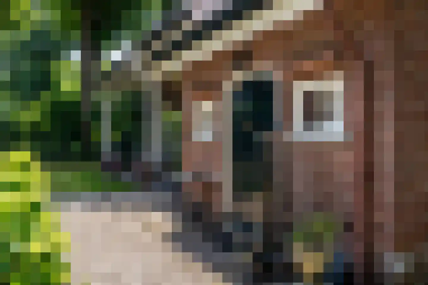 Ulvenhoutselaan 67 Breda thumbnail 54