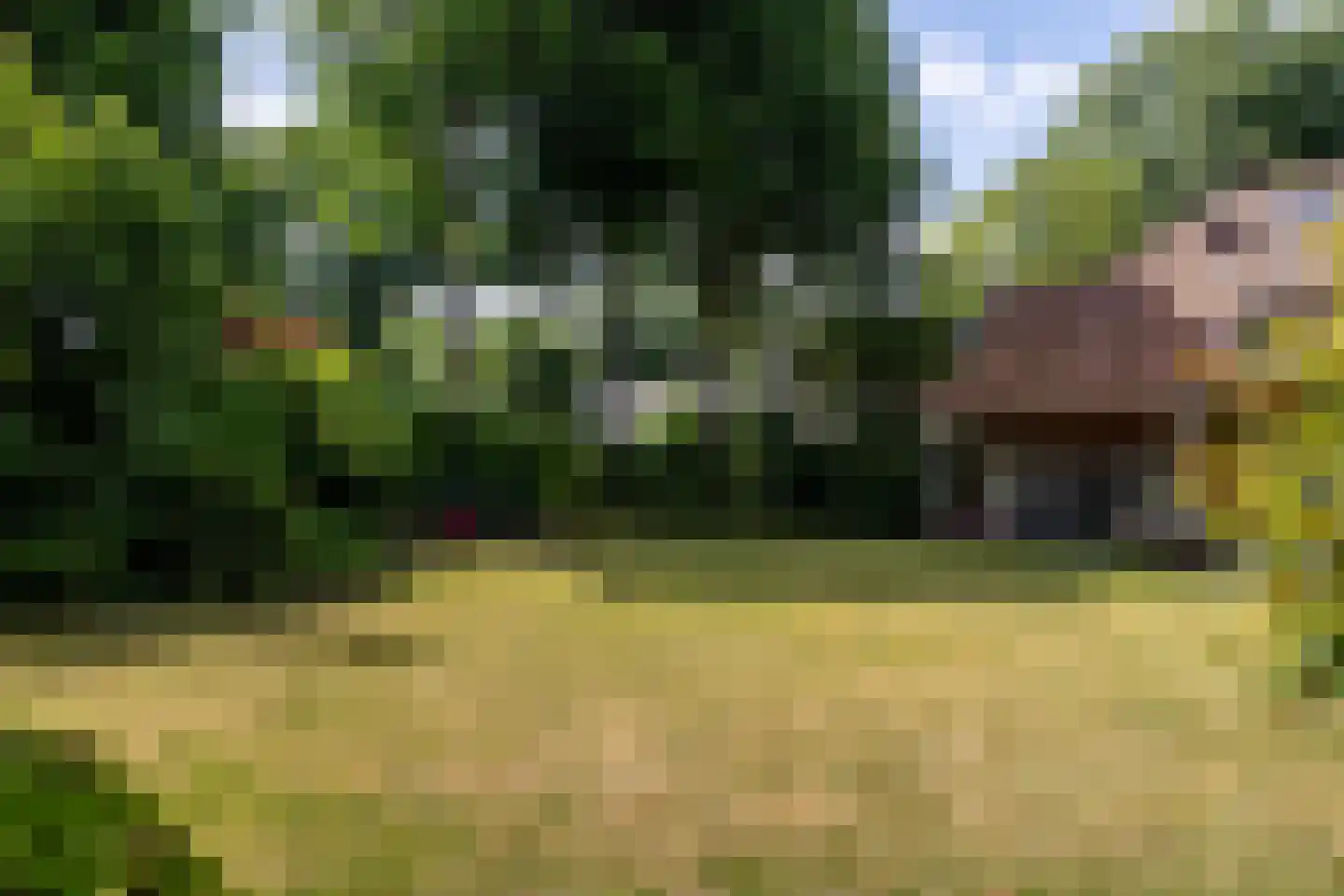 Ulvenhoutselaan 67 Breda thumbnail 55