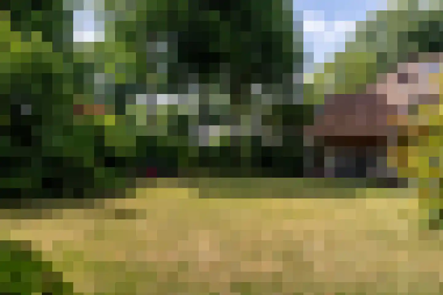 Ulvenhoutselaan 67 Breda thumbnail 55