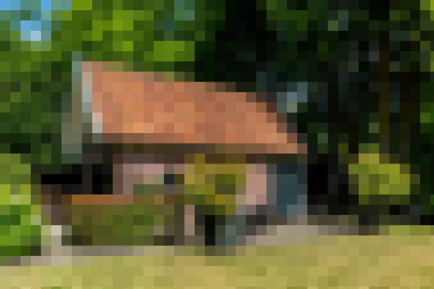 Ulvenhoutselaan 67 Breda thumbnail 58