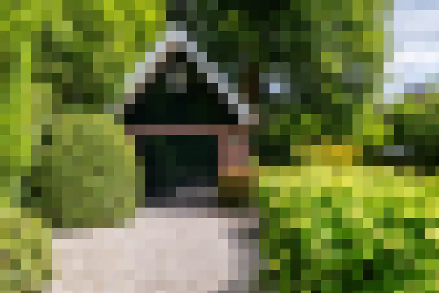 Ulvenhoutselaan 67 Breda thumbnail 59
