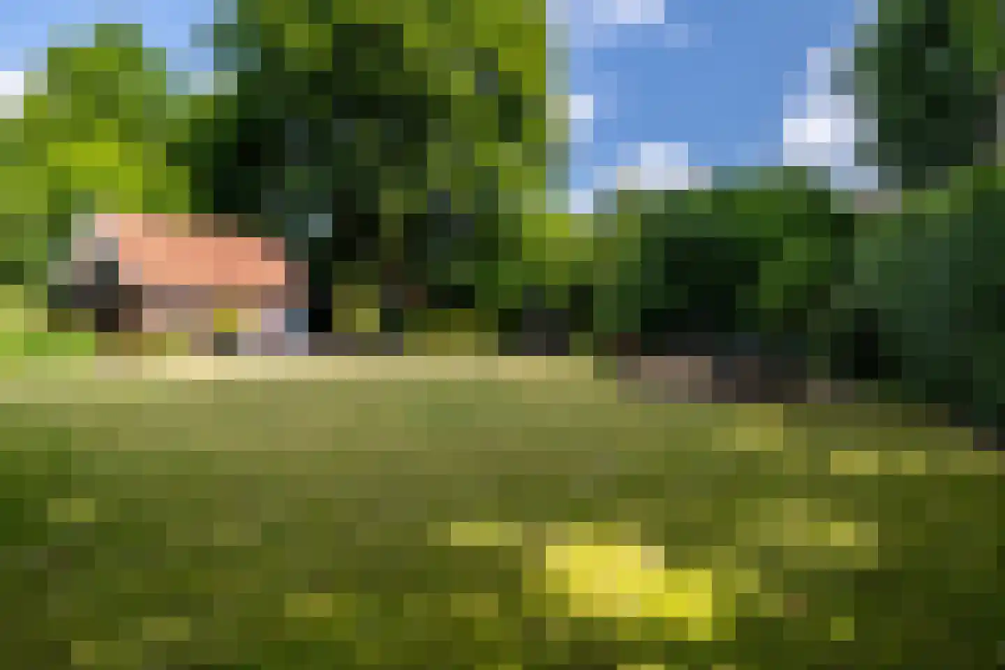 Ulvenhoutselaan 67 Breda thumbnail 60