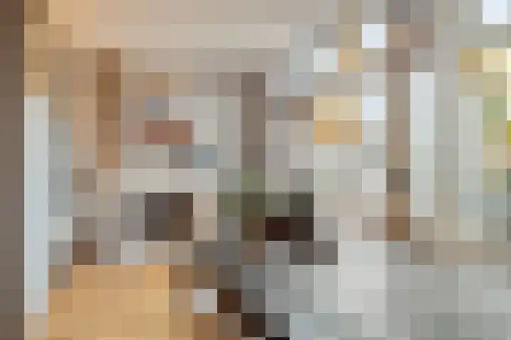 Umefors 21 Schiedam thumbnail 12