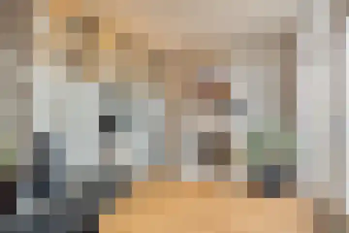 Umefors 21 Schiedam thumbnail 13
