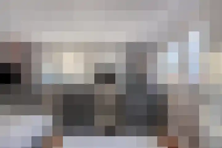 Umefors 21 Schiedam thumbnail 19