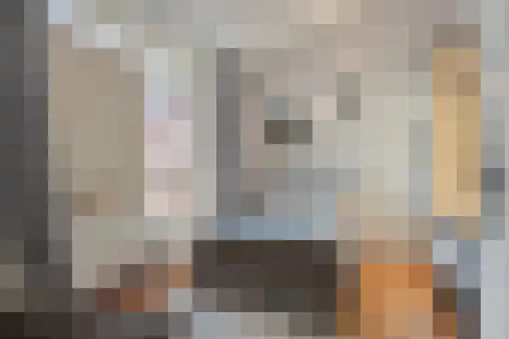 Umefors 21 Schiedam thumbnail 22